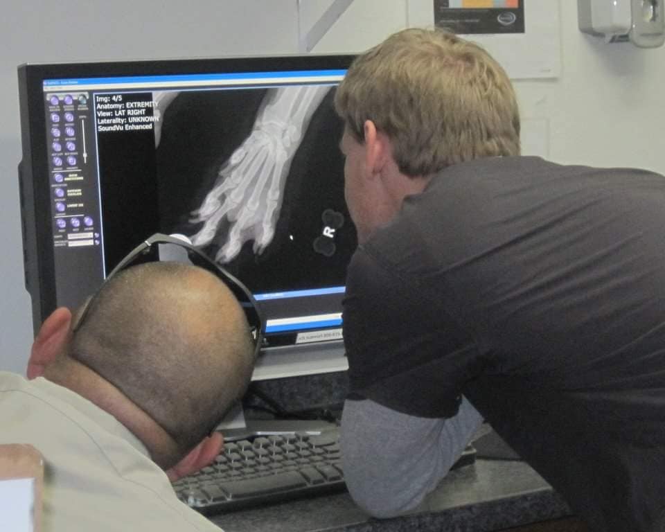 A photo of a veterinarian and veterinary technician viewing a snow leopard paw x-ray to show how practices can be too busy to do their own marketing and social media.